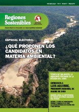 Regiones Sostenibles: desarrollando la Amazonía con responsabilidad ambiental, No 6